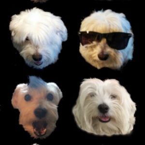 Meet your Posher, Meghan